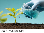 Farmer with fertilizer grains pouring onto the soil. Person applying mineral fertilizer blue granules to green plant. Vegetable garden. Agriculture industry, development, economy investment growth. Стоковое AI-изображение, AI-художник Марина Демидюк / Фотобанк Лори