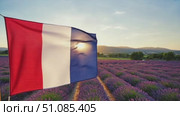 French flag waving in a lavender field during sunset. The vibrant colors of the flag contrast with the purple flowers and golden light. Стоковое AI-видео, аниматор Nart / Фотобанк Лори