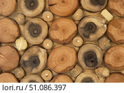 Wood panel made from cuts from a tree trunk. Стоковое фото, фотограф Александр Собко / Фотобанк Лори
