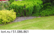 Different types of shrubbery, shrubs, stone path surrounded by evergreen trees. Professional Landscaping with lots of flowers, plants, rocks on the ground. Garden Daily Idea. English style. Real Video. Стоковое видео, видеограф Марина Демидюк / Фотобанк Лори