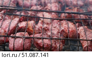 Pork Butt sliced on BBQ. Shish kebab. Pieces of pork on the grid, grilled meat with smoke. Food preparation process. Marinated spiced fillet meat cooked on charcoal barbeque grill. Outdoors cooking. Стоковое видео, видеограф Марина Демидюк / Фотобанк Лори