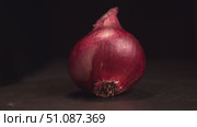 Rotating red onion on dark background. Стоковое видео, видеограф Андрей Знаменский / Фотобанк Лори