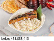 Smoked eel in unagi and steamed rice. Стоковое фото, фотограф Андрей Старостин / Фотобанк Лори