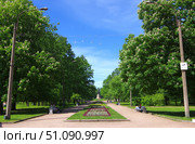 Центральная аллея парка Екатерингоф. Санкт-Петербург (2021 год). Редакционное фото, фотограф Алексей Иванов / Фотобанк Лори