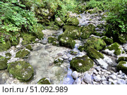 Ручей Водопадистый, Фишт, Адыгея. Стоковое фото, фотограф Оглоблин Андрей Николаевич / Фотобанк Лори