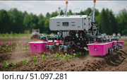 Innovative farming technology in action at a vegetable field in summer. Стоковое AI-видео, аниматор Сергей Толмачёв / Фотобанк Лори