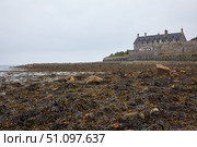 Island cafe at St Michael's Mount with bladder wrack on the shore. Cornwall. England. Great Britain (2009 год). Стоковое фото, фотограф Сергей Пристяжнюк (Serg Zastavkin) / Фотобанк Лори