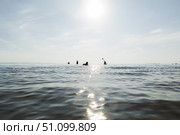 Водный пейзаж, отдыхающие люди на горизонте, катание на сап-борде, пляжный отдых под открытым небом в солнечный день, солнечные блики на воде. Стоковое фото, фотограф Мария L. / Фотобанк Лори