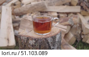 Steaming cup of freshly brewed black tea, set on log, against backdrop of pile of firewood for sauna or rustic retreat, evokes sense of coziness and tranquility. Стоковое видео, видеограф Strunov David / Фотобанк Лори