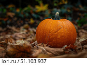 Bright orange pumpkin sitting on fallen autumn leaves. Стоковое AI-изображение, AI-художник Иван Рябоконь / Фотобанк Лори