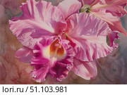 Watercolor painting showing blooming pink cattleya orchid flowers. Стоковое AI-изображение, AI-художник Иван Рябоконь / Фотобанк Лори