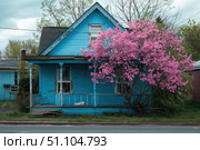 Blooming pink azalea bush stands in front of an old turquoise house. Стоковое AI-изображение, AI-художник Иван Рябоконь / Фотобанк Лори