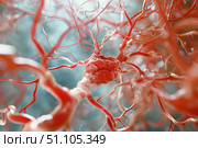 Blood vessels supplying nerve ganglion with oxygen and nutrients. Стоковое AI-изображение, AI-художник Иван Рябоконь / Фотобанк Лори
