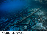Затонувшие брёвна с камнями под водой в голубом озере. Стоковое фото, фотограф Wonderful nature / Фотобанк Лори