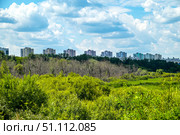Город Тюмень. Жилой комплекс Ново-Антипинский со стороны болота. Стоковое фото, фотограф Александр Тараканов / Фотобанк Лори