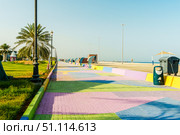 Kalba Corniche in Sharjah United Arab Emirates (UAE) on a beautiful day walking along the Gulf of Oman near the city. with beautiful yellow flowers. Стоковое фото, фотограф Feruza Tashmetova / Фотобанк Лори