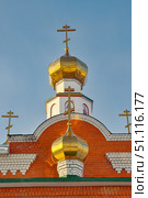 Купола церкви святой Троицы. Село Нижняя-Тавда. Тюменская область (2019 год). Стоковое фото, фотограф Александр Тараканов / Фотобанк Лори