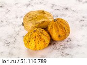 Decorative yelow pampkin seasonal vegetables. Стоковое фото, фотограф Андрей Старостин / Фотобанк Лори