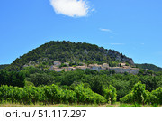 Landscape with vineyard. Povence, France (2014 год). Стоковое фото, фотограф Знаменский Олег / Фотобанк Лори