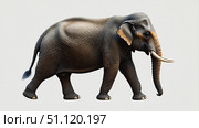 An elephant with wrinkled skin and a noticeable tusk on a light background. The ear is decorated with light spots, emphasizing its uniqueness and strength. Стоковое AI-изображение, AI-художник Светлана  Громак / Фотобанк Лори