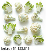 Fresh cauliflower florets arranged on white background. Стоковое AI-изображение, AI-художник Иван Рябоконь / Фотобанк Лори
