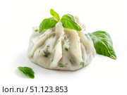 Khinkali dumpling garnished with fresh basil and dill on white background. Стоковое AI-изображение, AI-художник Иван Рябоконь / Фотобанк Лори
