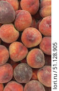 Fresh peaches in a pile creating a textured background for summer or harvest-themed designs. Стоковое видео, видеограф Анастасия Золотницкая / Фотобанк Лори