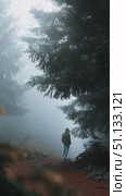 Walking through a misty forest path in the early morning light surrounded by tall trees. Стоковое AI-видео, аниматор Сергей Толмачёв / Фотобанк Лори