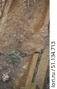 Close-up of a concrete gutter with a stream of rainwater. Slow motion footage of rain. A stream of water running down the storm drain. Стоковое видео, видеограф Воловодов Владимир / Фотобанк Лори