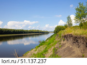 Берег реки Тобол в Ярковском районе Тюменской области. Стоковое фото, фотограф Илья Юрукин / Фотобанк Лори