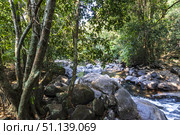 Dudhsagar Waterfall, Goa, India. (2018 год). Стоковое фото, фотограф Емельянов Евгений Викторович / Фотобанк Лори