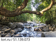 Dudhsagar Waterfall, Goa, India. (2018 год). Стоковое фото, фотограф Емельянов Евгений Викторович / Фотобанк Лори