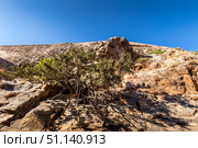 Spinalonga fortress on a clear sunny day. The ruins of leprosolium. (2019 год). Стоковое фото, фотограф Емельянов Евгений Викторович / Фотобанк Лори