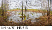 Landscape with marshes and swamp. Nature of the temperate zone of Eurasia. Стоковое фото, фотограф Наталия Кирсанова / Фотобанк Лори