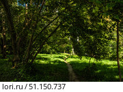Тенистая тропа в городском микрорайоне летом. Стоковое фото, фотограф Илья Старков / Фотобанк Лори