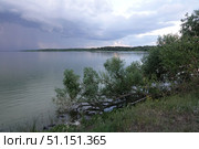 Озеро Большое Островное. Алтайский край (2022 год). Стоковое фото, фотограф Free Wind / Фотобанк Лори