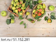 Autumn composition of apples and pears on a sunny wooden table, thanksgiving background, harvesting, healthy natural food concept, detox diet and body cleansing, banner for screen, cafe, restaurant, selective focus. Стоковое фото, фотограф Светлана Балынь / Фотобанк Лори