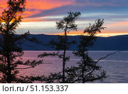 Baikal Lake in the evening after the rain. Silhouettes of green larch trees on the shore of Olkhon Island against the backdrop of a colorful sunset sky. Picturesque landscape, natural background. Стоковое фото, фотограф Виктория Катьянова / Фотобанк Лори