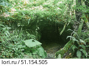 A wild cave or grotto. Mountainous terrain. Summer time of the year. Стоковое фото, фотограф Наталия Кирсанова / Фотобанк Лори