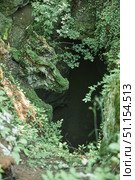 A wild cave or grotto. Mountainous terrain. Summer time of the year. A rock in the shape of a cow's head. Стоковое фото, фотограф Наталия Кирсанова / Фотобанк Лори