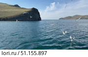 Lake Baikal in summer. Video of a passenger ferry crossing the Olkhon Gate Strait. Seagulls circling around the ship. Summer trips to Olkhon Island. Стоковое видео, видеограф Виктория Катьянова / Фотобанк Лори