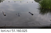 Падающая вода реки Пехорка с видом на дома (2021 год). Стоковое видео, видеограф Дмитрий Неумоин / Фотобанк Лори