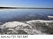 Грязевое озеро Соленое, Веселовка, Краснодарский край. Стоковое фото, фотограф Оглоблин Андрей Николаевич / Фотобанк Лори