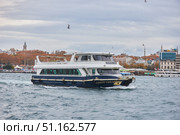 ISTANBUL, TURKEY - NOVEMBER 23, 2021: Bosphorus Strait and Ducks. In the background there are pleasure boats for tourists. Редакционное фото, фотограф Наталия Кирсанова / Фотобанк Лори