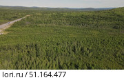 Exploring vast forests in a remote area near highways on a sunny day. Стоковое видео, видеограф Гурьянов Андрей / Фотобанк Лори