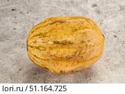 Decorative yelow pampkin seasonal vegetables. Стоковое фото, фотограф Андрей Старостин / Фотобанк Лори
