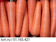 Freshly harvested carrots displayed at a local market in autumn highlight vibrant orange colors and smooth textures appealing to shoppers looking for quality produce. Стоковое фото, фотограф Владимир Разгуляев / Фотобанк Лори
