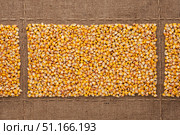 Corn grains on sackcloth, with place for your text. Стоковое фото, фотограф Александр Собко / Фотобанк Лори