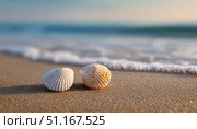 Sunset lit seashells resting on damp sand, gentle waves lapping shoreline, embodying peaceful coastal tranquility and natural seaside harmony. Стоковое AI-изображение, AI-художник Юрий Поздников / Фотобанк Лори