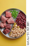 Balanced nutrition plate showcasing lean protein, kidney beans, green peas, and chickpeas, representing portion control and mindful dietary choices. Стоковое AI-видео, аниматор Юрий Поздников / Фотобанк Лори